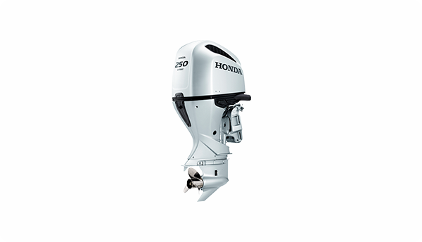 BF250
