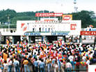 1981